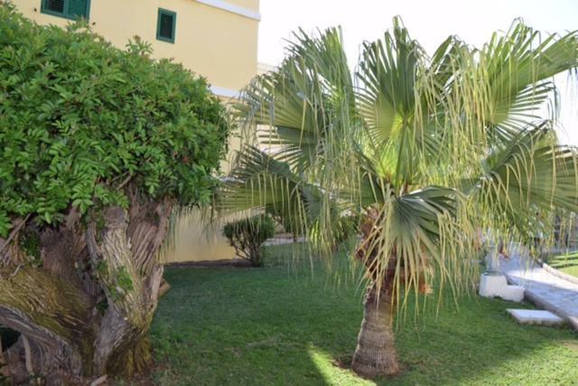 Tara Apartment Playa del Ingles  Exterior photo
